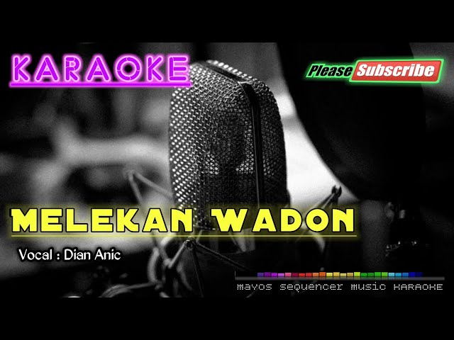 MELEKAN WADON -Dian Anic- KARAOKE class=