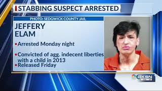 Wichita police say person of interest arrested in stabbing