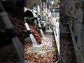 Ever wondered how chocolate is made? 🤔🍫