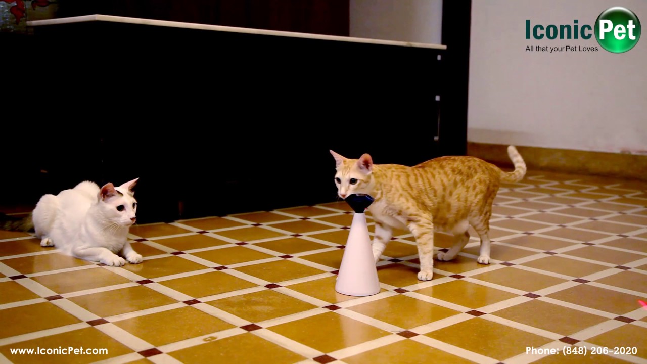 interactive cat laser pointer toy