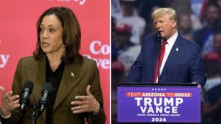 8% of voters in Georgia undecided in presidential election, poll says