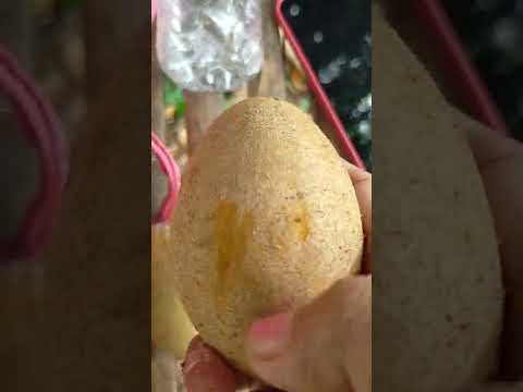 Video: Pagpapalaki ng Prutas ng Mamey - Matuto Tungkol sa Pag-aalaga Ng Mamey Apples