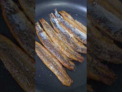 구룡포 과메기를 프라이팬에 구웠더니...#과메기 #속초맛집