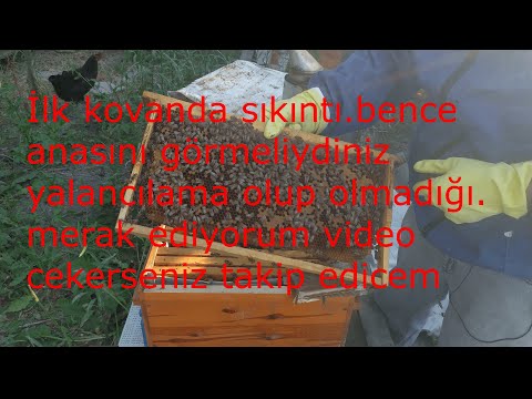 Video: Randil niekto z pekných malých klamárov?