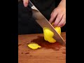 Professional Chef Knife Review | SHAN ZU 8'' Japanese Damascus Steel Blade