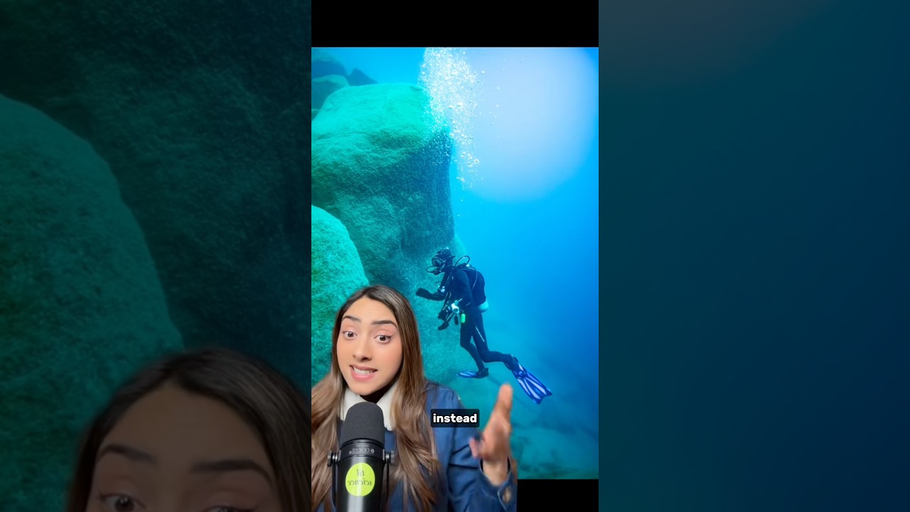 Science Finally Solves the Salish Sea Feet Mystery