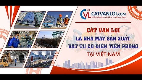 Tập đoàn thép vạn lợi có bao nhiêu công ty năm 2024