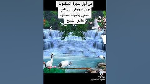تلاوة خاشعة من أول سورة العنكبوت برواية ورش عن نافع المدني بصوت محمود هادي الشيخ