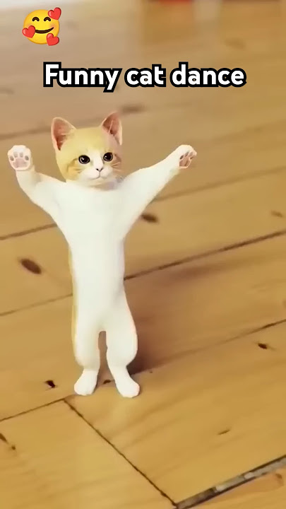 Dum dum dika dika 😍😄#catdance #viral #shorts