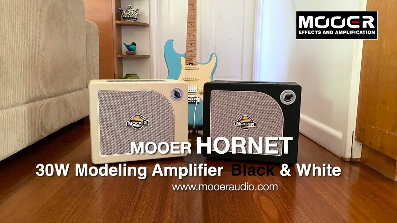 究極の練習用アンプ】シンプル＆高性能(Mooer Hornet 15W White) - YouTube