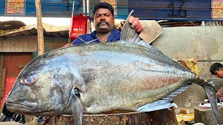 KASIMEDU 🔥 SPEED SELVAM | 55 KG GIANT BLACK TREVALLY FISH CUTTING VIDEO | IN KASIMEDU | FF CUTTING🔪