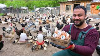 Beklenen Cins Tavuk Yumurtaları Sonunda Geldi! 😍🥚| Bayram Heyecanıyla Civciv Taşıdık | Çiftlik