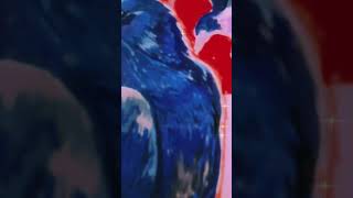 Burb #artcommunity #art #fypシ゚viral #artist #animals #birds #traditional #semirealism #ytshorts 