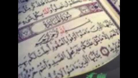 الشيخ عبد الجواد /سورة المائدة
