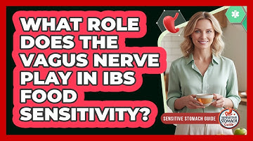 What Role Does The Vagus Nerve Play In IBS Food Sensitivity? - Sensitive Stomach Guide