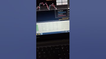 Bot giao dịch Exness – Lợi nhuận không tưởng trên MT4! Cách đa dạng nguồn thu nhập mới nhất 2025