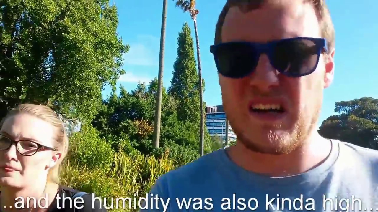 Albert Park, Auckland City