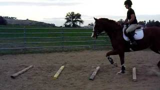Dscf0921.Avi