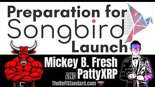 Official Songbird Network Preparation Video + Flare Finance NFTs - Mickey B Fresh + Patty XRP screenshot 4
