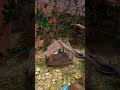 #gorillatag #gorillatagfun #smallcontentcreator #fyp