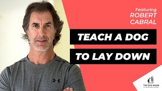 How to Teach a Dog to Lay Down with Robert Cabral (Episode 58)