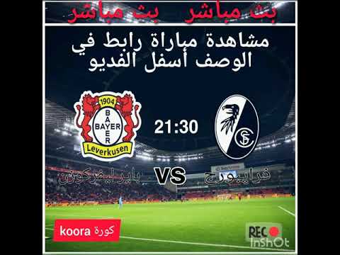 بث مباشر مباراة فرايبورج وباير ليفركوزن