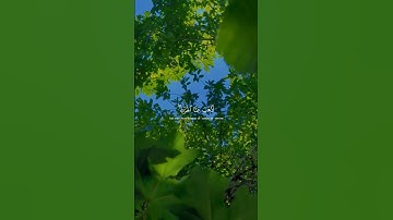{الحمد الله} القارئ:عمر بن ضياء #quran #قرآن #اذكرالله