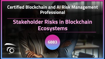 Stakeholder Risks in Blockchain Ecosystems | Exclusive Lesson