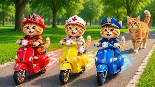 Live 🔴Mama Cat And Kitten ✨Funny Cat | Kucing 🌻 Cat Videos 😿 Cute Cat | Meow Meow screenshot 5