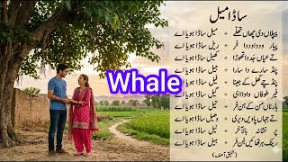 Sada Mail Song | A Catchy Ditty | Earworm Song | Punjabi Song | Punjabi Geet | ساڈا میل گیت | پنجابی