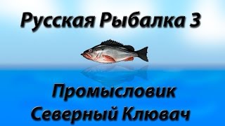 Русская Рыбалка 3.9 Промысловик Северный Клювач