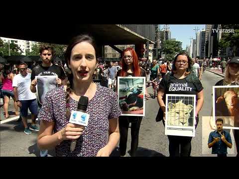 Vídeo: Ativistas Pelos Direitos Dos Animais Espanhóis Realizam Protesto Nu