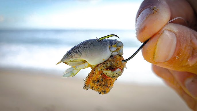 Fishing in Pompano Beach: The Complete Guide 