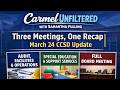 Three Meetings, One Recap | March 24 CCSD Update