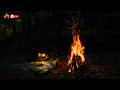 Midnight Campfire by the Stream | Pure Water & Wood Crackling to Cure Insomnia