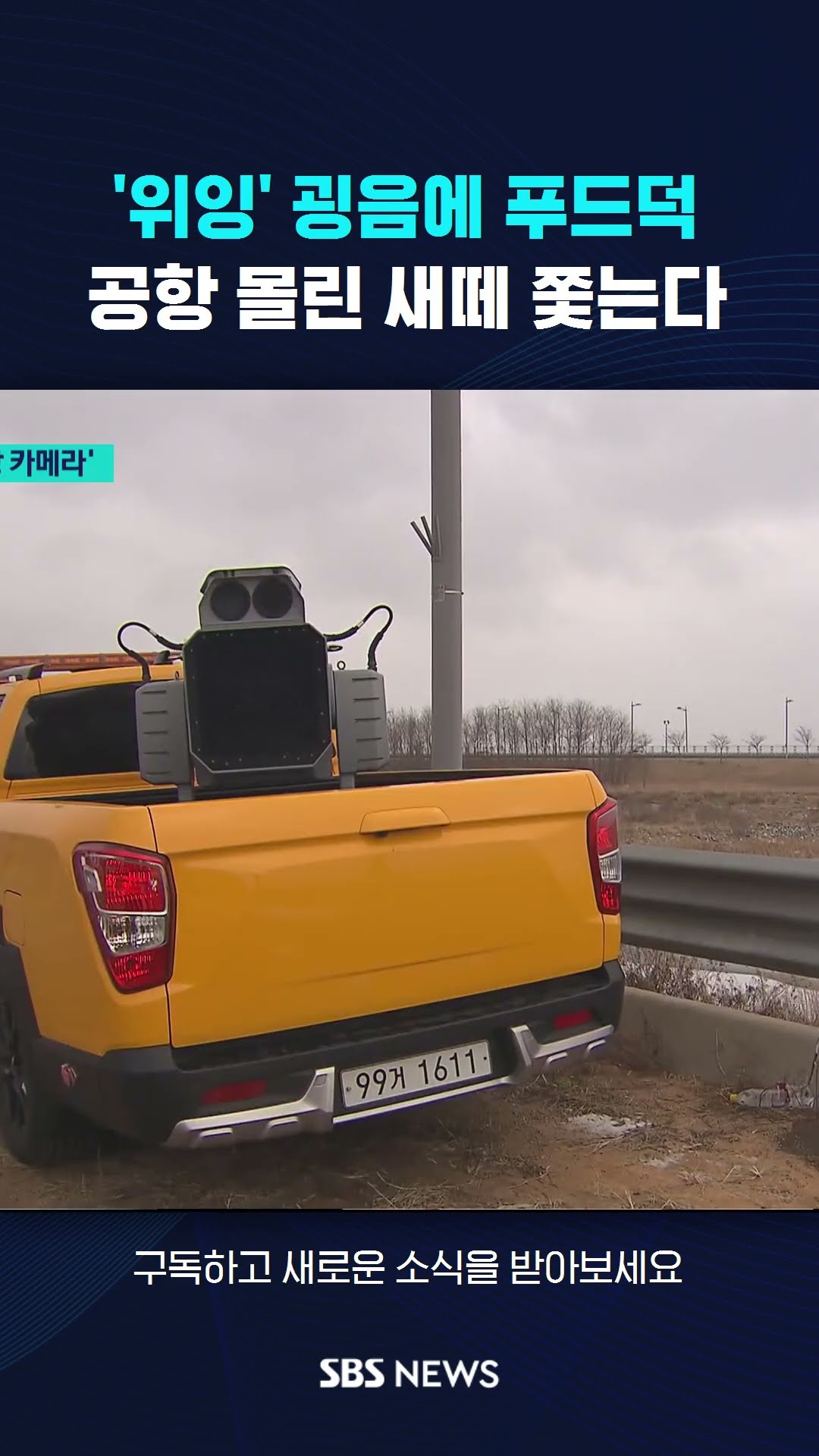 '위잉' 굉음에 푸드덕…공항 몰린 새떼 쫓는다 #shorts