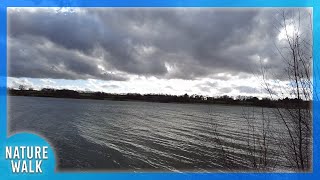 Walk around the reservoir on a magical day with ambient bliss (Nature Visualizer)