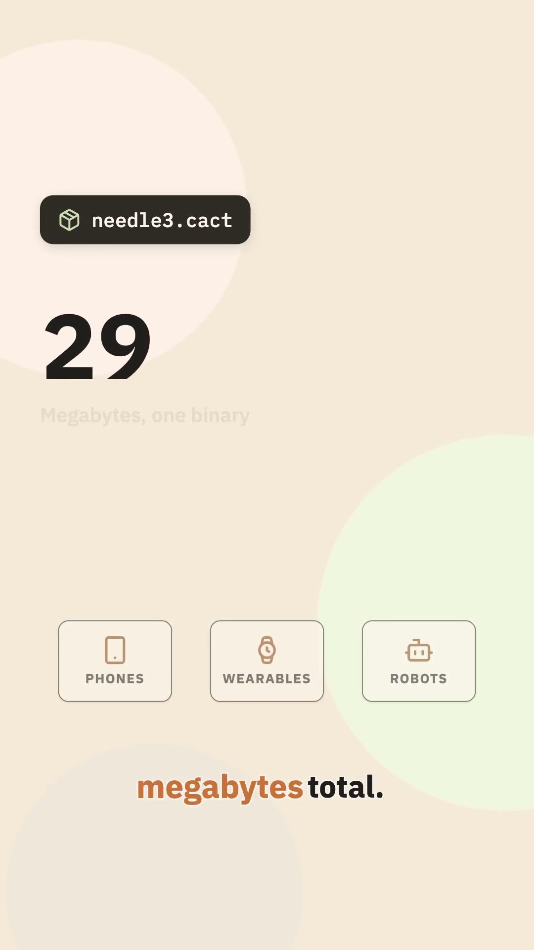 Needle