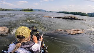 I LOVE Fishing the SUSQUEHANNA River!! (Road trip North)