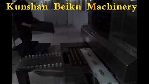 Double color biscuit machine/ twist cookies making machine, designed cookies forming machine