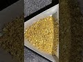 Homemade gold porn