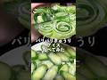 中国で大流行してたパリパリきゅうりアイスたべてみた…！🥒#きゅうりアイス#asmr#モッパン #検証