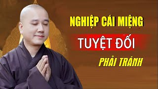 Nghe Phật Dạy Trong 3 Nghiệp Nên Tránh Bớt Khẩu Nghiệp  Thầy Thích Pháp Hòa