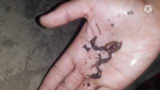 Olloxning Mujizasi Chuvalchangni Bunaqasini Kurmagansiz Sotiladi 908781225