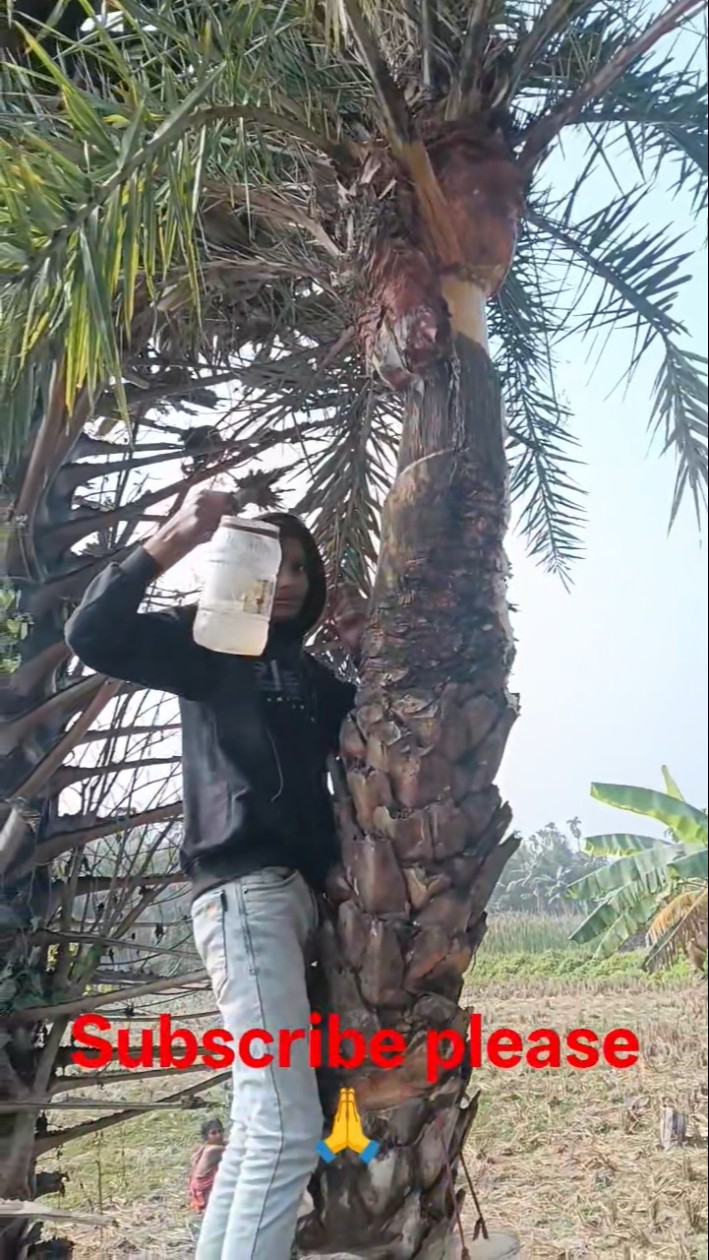 🎄গাছ🎄 - ShareChat