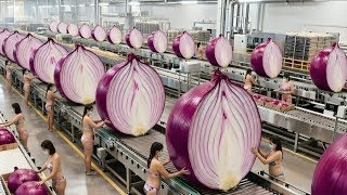 Inside the Largest U.S. Onion Factory: How Raw Onions Become Premium Powder
