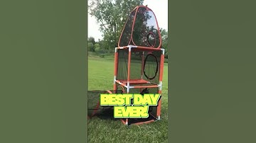 Discover the Secret to Creating a Safe Outdoor Space for Your Cat!🐈