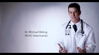 Dr Boling Bio