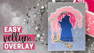 Easy Vellum Overlay - Hero Arts January 2022 My Monthly Hero Kit
