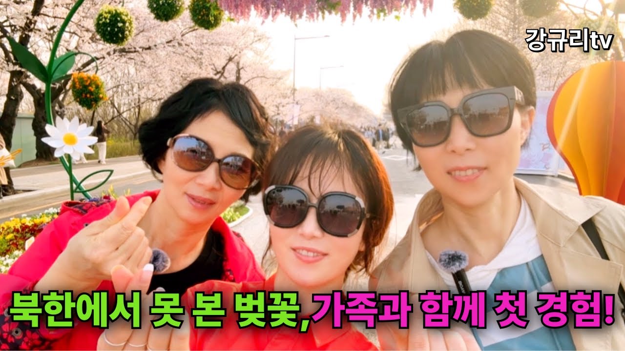 북한에서 못 본 벚꽃, 가족과 함께한 첫 경험!!!